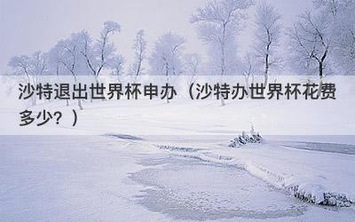 沙特退出世界杯申办（沙特办世界杯花费多少？）-第1张图片