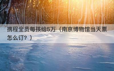 携程全员每孩给5万（南京博物馆当天票怎么订？）