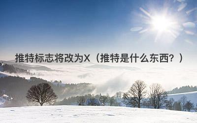 推特标志将改为X（推特是什么东西？）-第1张图片
