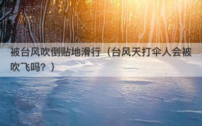 被台风吹倒贴地滑行（台风天打伞人会被吹飞吗？）