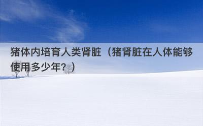 猪体内培育人类肾脏（猪肾脏在人体能够使用多少年？）
