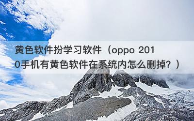 黄色软件扮学习软件（oppo 2010手机有黄色软件在系统内怎么删掉？）