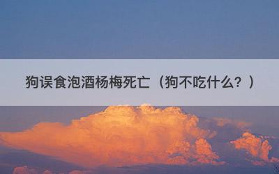 狗误食泡酒杨梅死亡（狗不吃什么？）